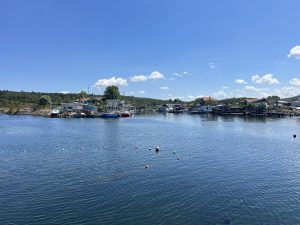 Възможностите за изкуствен интелект предизвикват призив за сътрудничество между континенталната част и Хонконг