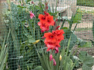 Международните студенти свързват Китай и света