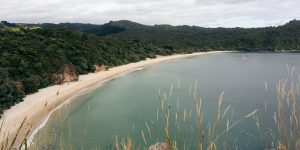 Shanghai AI unicorn StepFun набира над $718 милиона в B+ кръг · TechNode