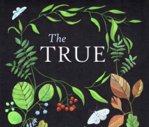 Китайският круизен сектор преминава в нова фаза