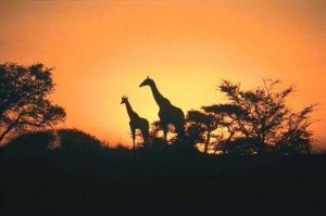Best Gap Year Travel Destinations | 5 Great Picks