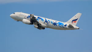 Healthy Plane Travel Tips: Stay Comfortable and Safe