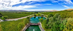 Red Mountain AVA Wines: Discover the Magic