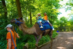 Hiking Path Of The Gods: Our Experience + Your Trail Options