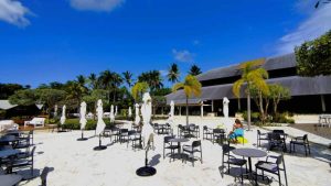 Li Auto увеличава производството на чипове с нов офис в Хонконг: доклад · TechNode