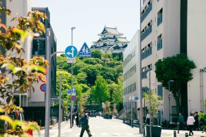 Compelling Reasons to Visit Wakayama City in Japan