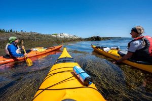 Kayaking Chance Harbour to Black Beach Near Saint John, NB