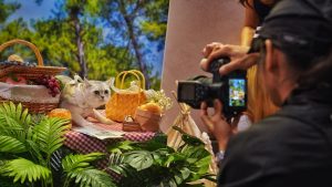 Li Auto пуска най-малкия си plug-in хибриден SUV, изправен пред натиск от Huawei · TechNode