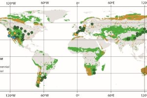 Бивш главен икономист на СТО: Китай вероятно ще се превърне в основен център на търсене