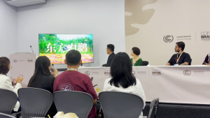 Инициативата State Grid предоставя алтернативни местообитания за щъркели