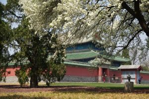 Културният туризъм поддържа силно потребление