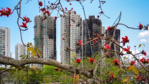 Сонда Tai Po: познаването на дефектите може да е подпомогнало реакцията, казва пожарникарят