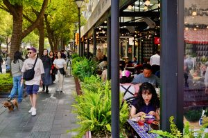 Новите насоки запазват характера на Daxue Road непокътнат